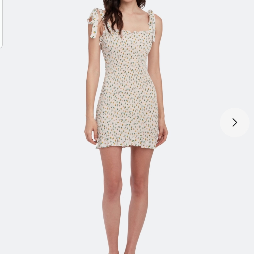 ⭐Sold⭐ NWOT Free People Bella Mini Dress